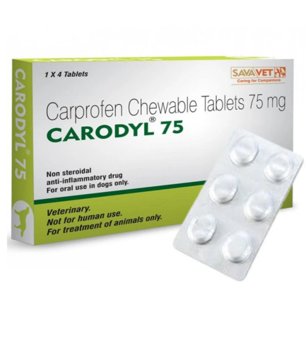 Carodyl (Carprofen) 75mg | 6 Tablets